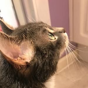 Meet your Posher, Becky